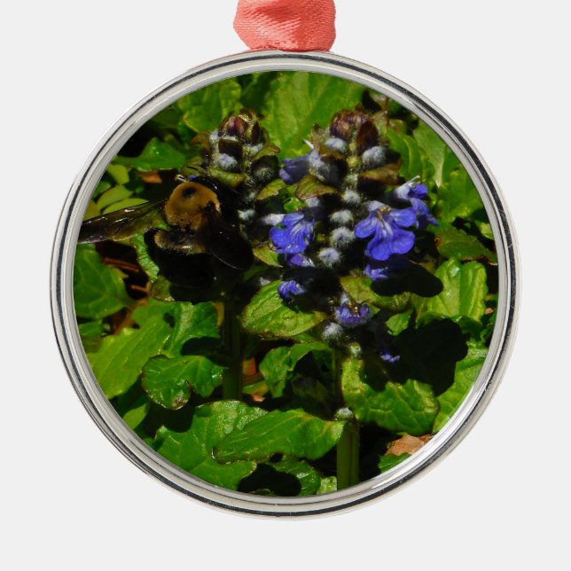 Lila Bienenvölker und Hummel Silbernes Ornament (Vorne)