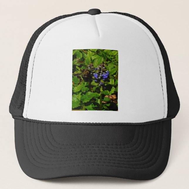 Lila Bienenvölker und Hummel Truckerkappe (Vorderseite)