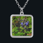 Lila Bienenvölker und Hummel Versilberte Kette<br><div class="desc">Lila Bee Balm Blume Blossom und gelb-schwarz Hummeln Foto von Sandy Closs am Arrowhad See lila genommen,  "Bienenbalsam",  Blume,  Blume,  Blumen,  Frühling,  Kirsche,  Kirschen,  Garten,  Hochzeit,  Hochzeiten, </div>
