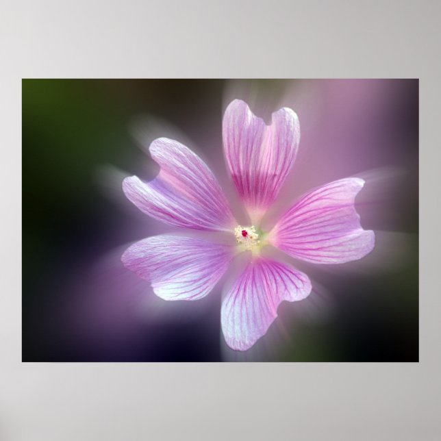 lila Blätter Poster (Vorne)