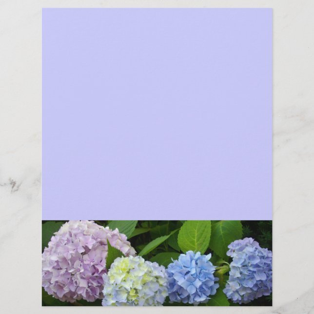Lila-blaue Blütenhydrangeas (Vorderseite)