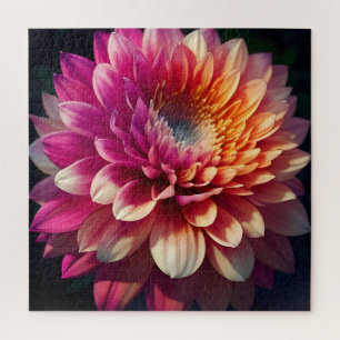 Lila-blaue Dahlia-Blume