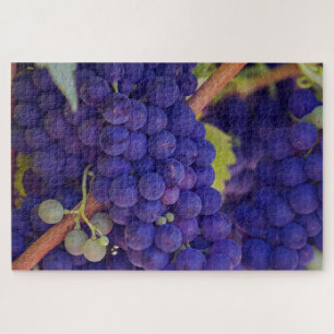 Lila Blaue Traubenbäume im Weinberg