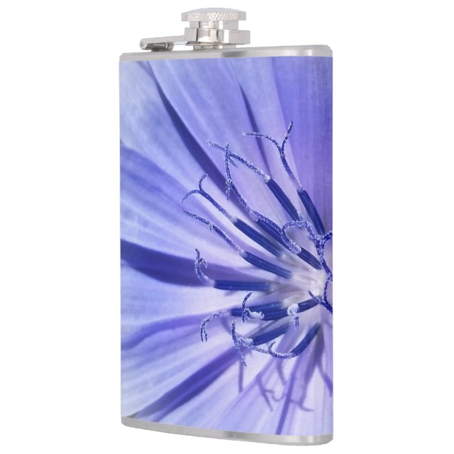 lila blaue Wegwarte Flachmann (Links)
