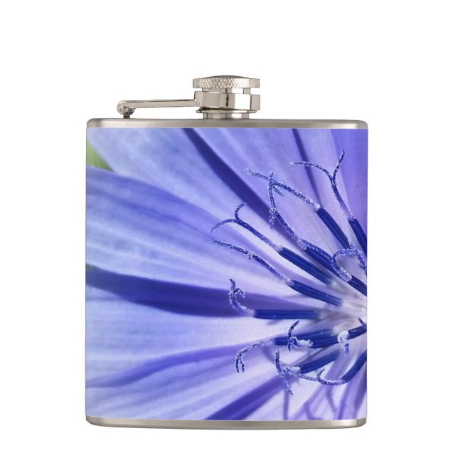 lila-blaue Zichorie Flachmann (Vorderseite)