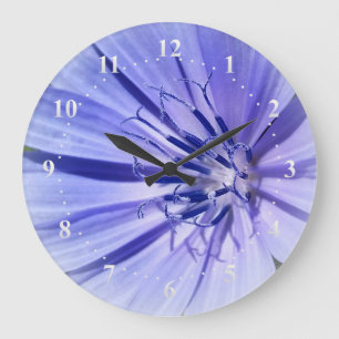 lila-blaue Zichorie Große Wanduhr
