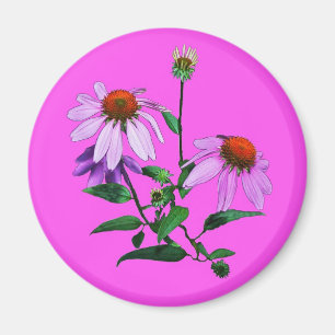 Lila Blende auf rosa Magnet
