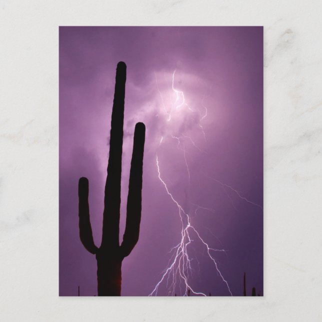 Lila Blitz und Kakteen, AZ Postkarte (Vorderseite)