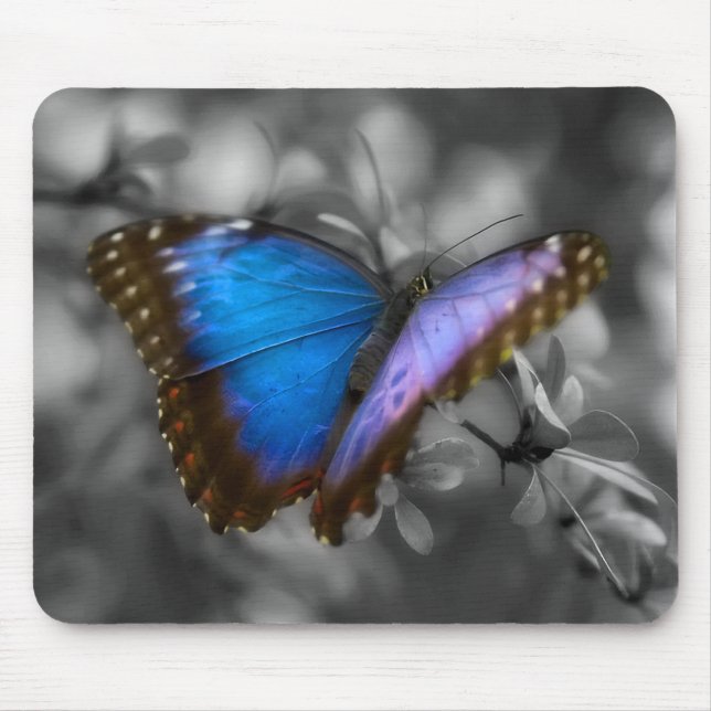 Lila Blue Butterfly Mousepad (Vorne)