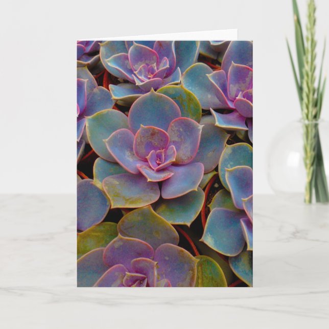 Lila Blue Green Succulent Cactus Pflanze Karte (Vorderseite)
