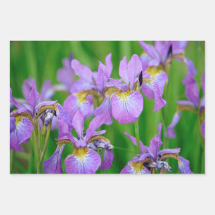 Lila blühende Schwertlilienblumen  Geschenkpapier Set