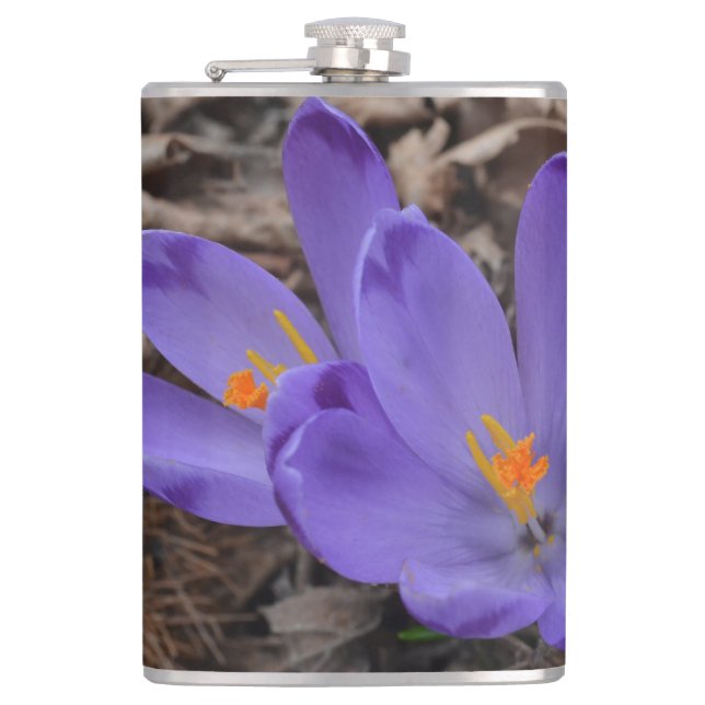 Lila blühendes Woodland Crocus Flachmann (Vorderseite)