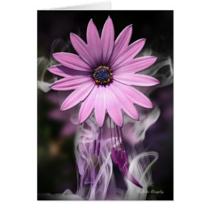 Lila Blume