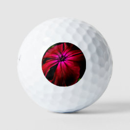 Lila Blume 6 gbm Golfball