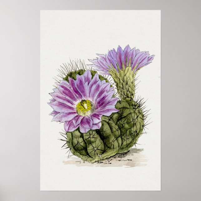 Lila Blume Cactus Sketch Art Poster (Vorne)
