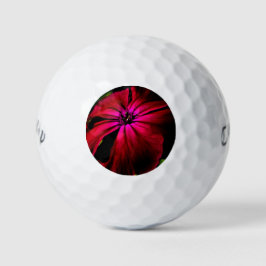 Lila Blume cwb gbcnm Golfball