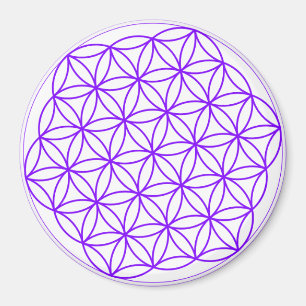 Lila Blume des Lebensraums Magnet
