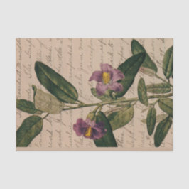 Lila Blume Ephemera Seidenpapier
