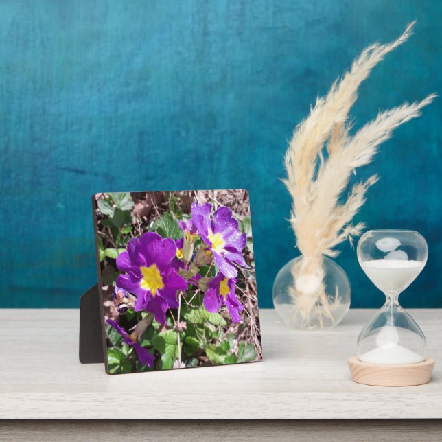 Lila Blume Fotoplatte (InSitu)
