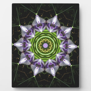 Lila Blume Fotoplatte