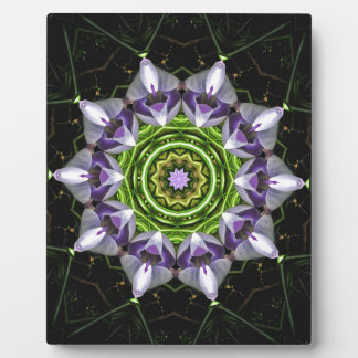 Lila Blume Fotoplatte