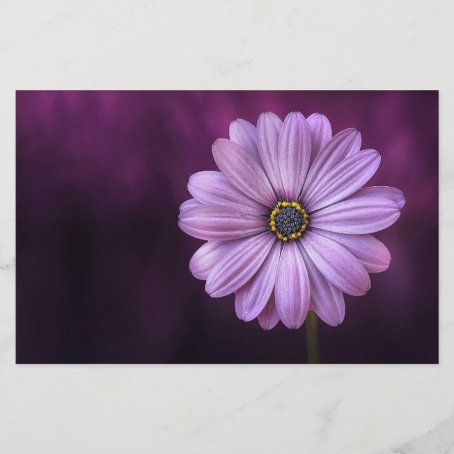Lila Blume im Blut Briefpapier (Vorderseite)