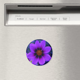Lila Blume in der Abenddämmerung Magnet