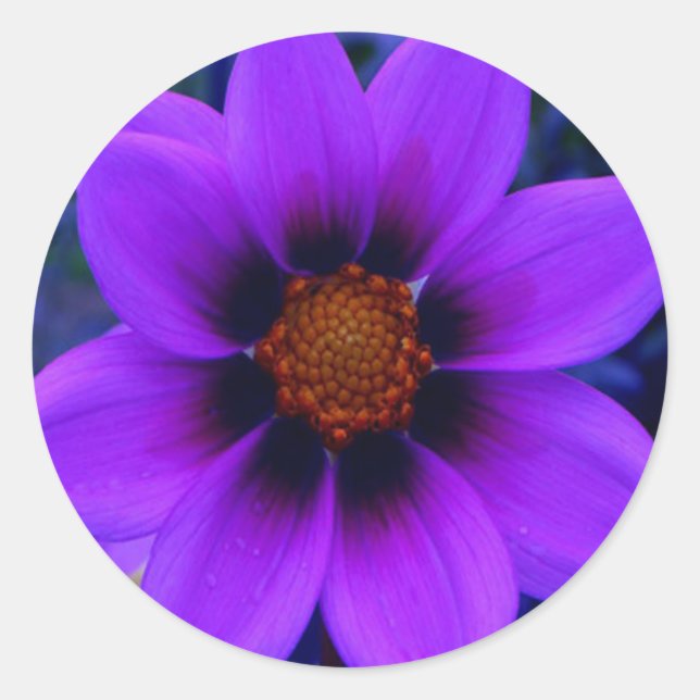 Lila Blume in der Abenddämmerung Runder Aufkleber (Vorderseite)
