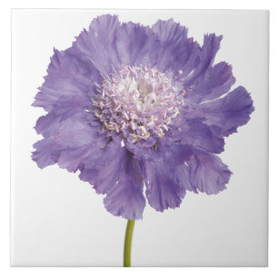 Lila Blume Keramik Tile Untersetzer