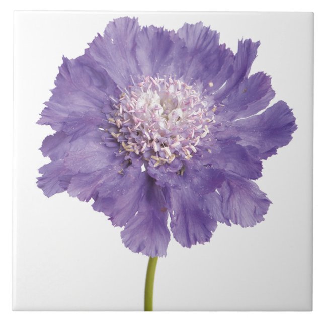 Lila Blume Keramik Tile Untersetzer (Vorderseite)