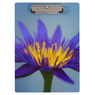 Lila Blume Klemmbrett