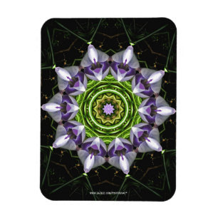 Lila Blume Magnet