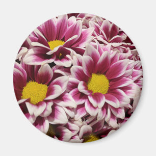 Lila Blume Magnet