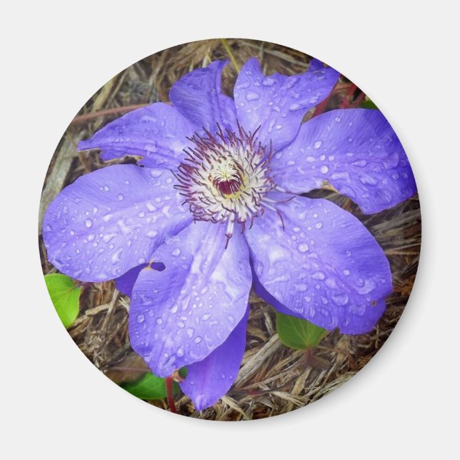 Lila Blume Magnet (Vorne)