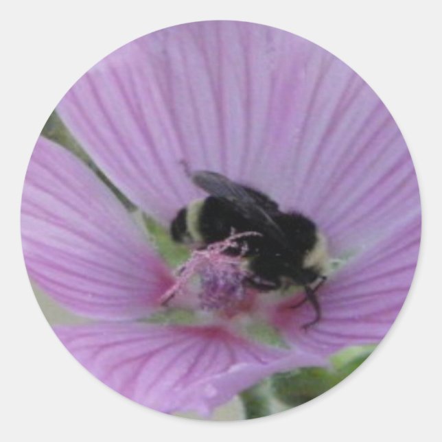 Lila Blume mit Biene Runder Aufkleber (Vorderseite)