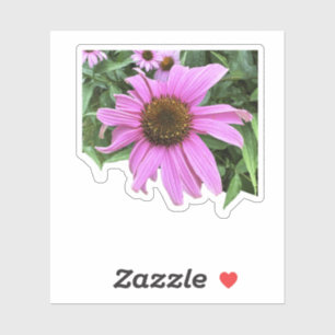 Lila Blume mit Blätter in Coneflower Rosa Aufkleber