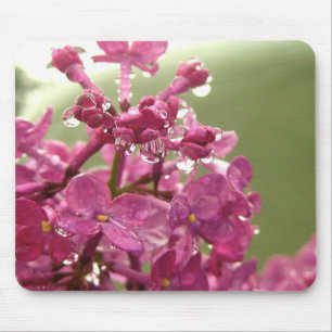 Lila Blume mit Raindrops Mouse Pad Mousepad
