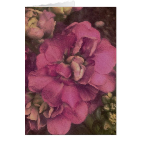 lila Blume mit Zitat vom Buch von Ruth-Karte Karte
