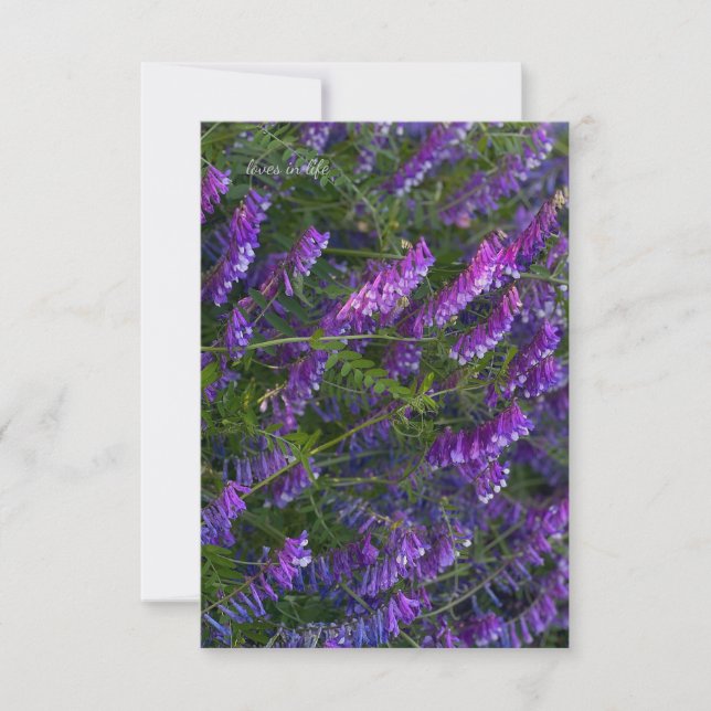 Lila Blume Mitteilungskarte (Vorderseite)
