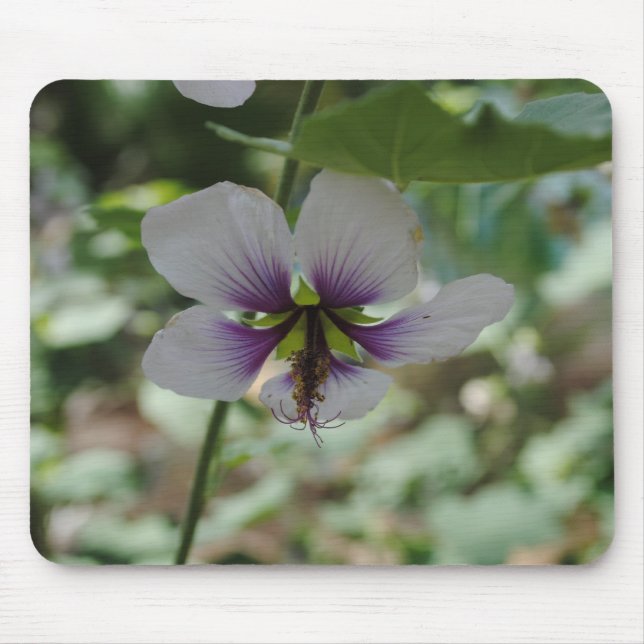 Lila Blume Mousepad (Vorne)