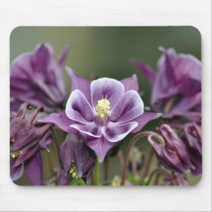 Lila Blume Mousepad