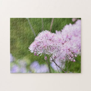 Lila Blume Naturfotografie Garten Landschaft