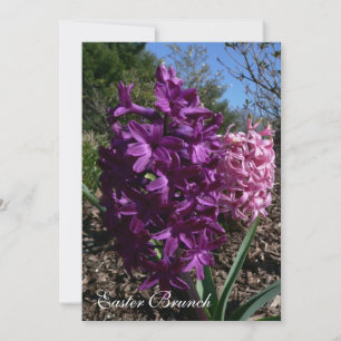 Lila Blume Osterfeier Einladungen