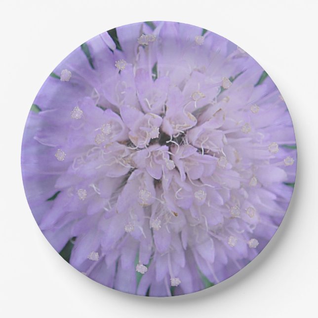 Lila Blume Pappteller (Vorderseite)