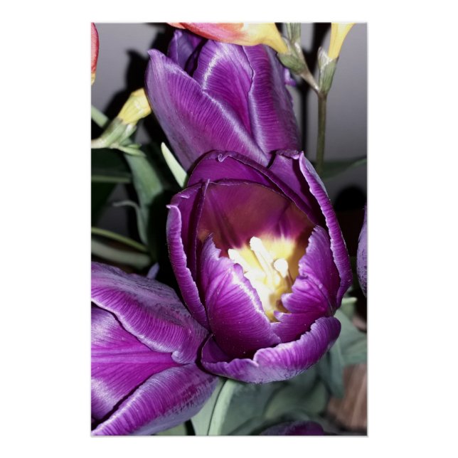 Lila Blume Poster (Vorderseite)