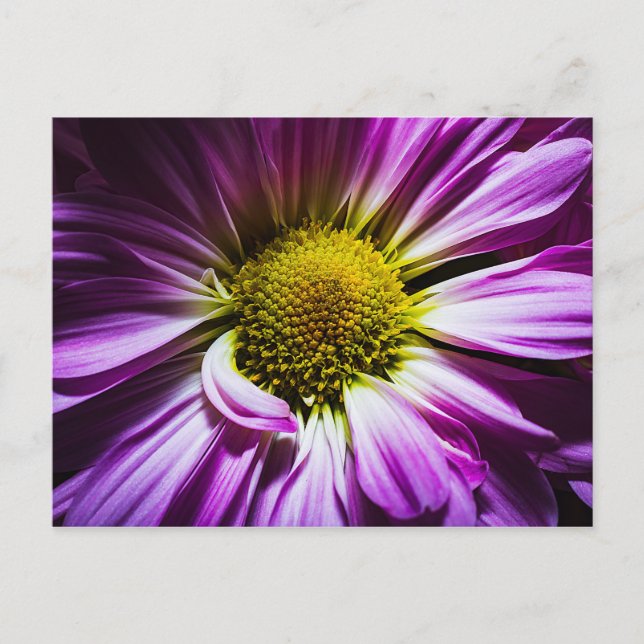 Lila Blume Postkarte (Vorderseite)