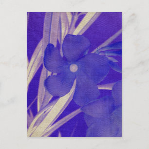 Lila Blume Postkarte