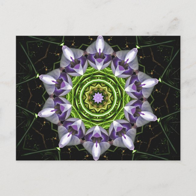 Lila Blume Postkarte (Vorderseite)