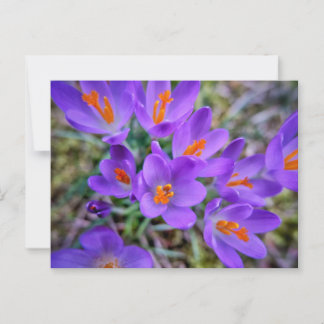 Lila Blume Postkarte