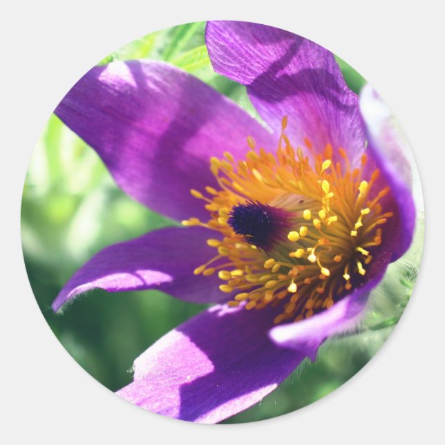Lila Blume Runder Aufkleber (Vorderseite)